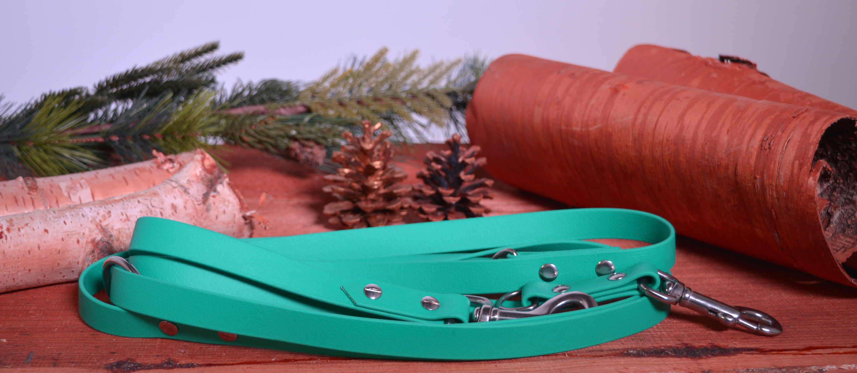 Hundeleine, 19 mm breit, dreifach verstellbar, petrol, aus Biothane, 2,75 m lang